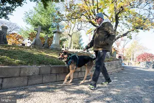 3205 N 35th St, Philadelphia, PA 19129 - Photo 66