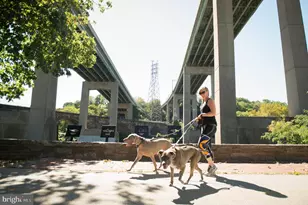 3426 W Westmoreland St, Philadelphia, PA 19129 - Photo 74