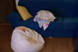 224 E Dorset St, Philadelphia, PA 19119 - Photo 2