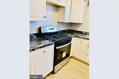 310 E Evergreen Avenue, Philadelphia, PA 19118 - Photo 10