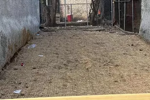 1328 N 58th St, Philadelphia, PA 19131 - Photo 1