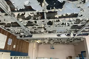 6190 Limekiln Pike, Philadelphia, PA 19141 - Photo 10