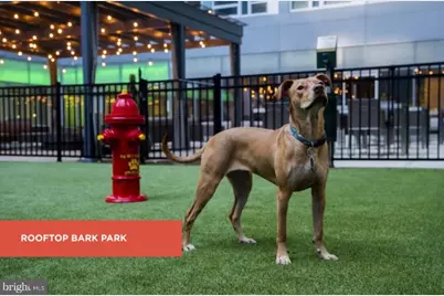 137 N 23rd Street #120, Philadelphia, PA 19103 - Photo 10