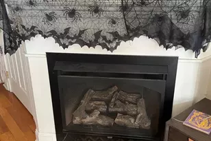 1537 Swain St, Philadelphia, PA 19130 - Photo 14