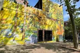 923 E Moyamensing Ave, Philadelphia, PA 19147 - Photo 12