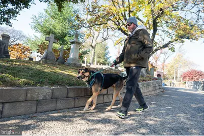 3434 W Westmoreland Street, Philadelphia, PA 19129 - Photo 66