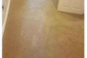 6102 N Norwood St, Philadelphia, PA 19138 - Photo 6