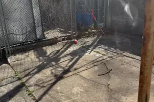 816 W Erie Ave, Philadelphia, PA 19140 - Photo 12