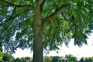 3849 N Broad St, Philadelphia, PA 19140 - Photo 16