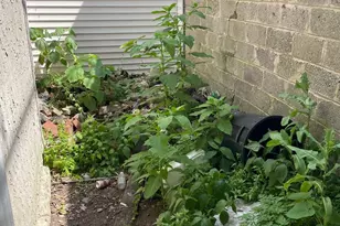 4602 Lancaster Ave, Philadelphia, PA 19131 - Photo 16