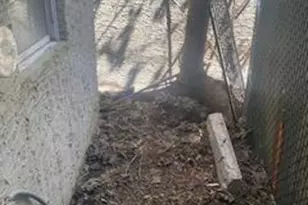 1047 W Nevada St, Philadelphia, PA 19133 - Photo 18