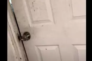 2239 S 71st St, Philadelphia, PA 19142 - Photo 4