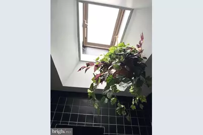 7316 Pittville Avenue, Philadelphia, PA 19126 - Photo 20