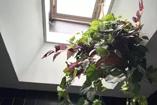 7316 Pittville Ave, Philadelphia, PA 19126 - Photo 20