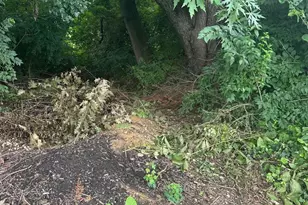 8817 Danbury St, Philadelphia, PA 19152 - Photo 6