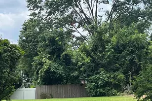 7514 Culp St, Philadelphia, PA 19128 - Photo 10