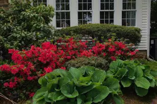 100 Overhill Ave, Philadelphia, PA 19116 - Photo 6