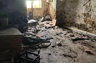 951 E Ontario St, Philadelphia, PA 19134 - Photo 10