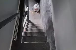 2335 N Beechwood St, Philadelphia, PA 19132 - Photo 18