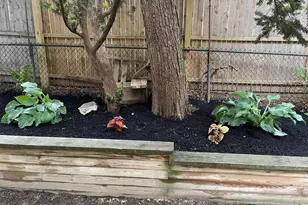 4304 Osage Ave, Philadelphia, PA 19104 - Photo 34