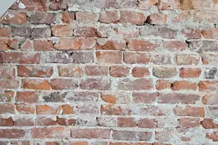 2321 Mountain St, Philadelphia, PA 19145 - Photo 10