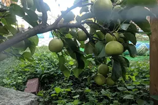 [Address not provided], Philadelphia, PA 19145 - Photo 6