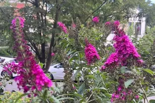 5011 Pentridge St, Philadelphia, PA 19143 - Photo 34