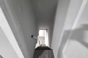 259 W Ruscomb St, Philadelphia, PA 19120 - Photo 12