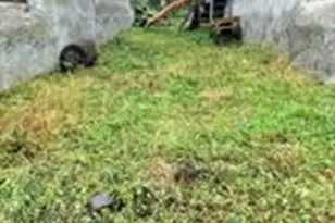 2317 W Huntingdon St, Philadelphia, PA 19132 - Photo 1