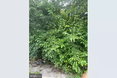 459 E Price Street, Philadelphia, PA 19144 - Photo 1