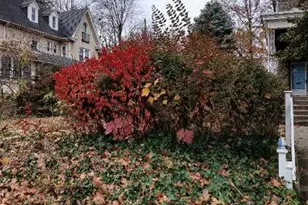 1122 N 63rd St, Philadelphia, PA 19151 - Photo 4