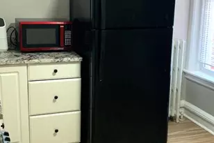 252 Rosemar St, Philadelphia, PA 19120 - Photo 12