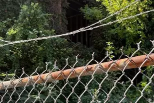 226 N Vodges St, Philadelphia, PA 19139 - Photo 6