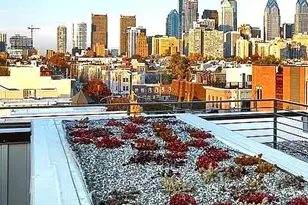 2139 League Ct, Philadelphia, PA 19146 - Photo 6