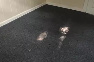 358 E Upsal St, Philadelphia, PA 19119 - Photo 16