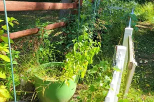 302 Crest Park Rd, Philadelphia, PA 19119 - Photo 20