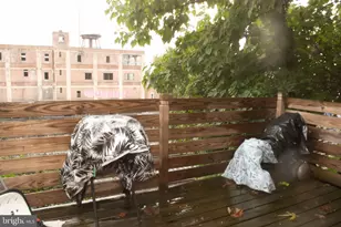 5522 Linmore Ave, Philadelphia, PA 19143 - Photo 6