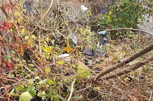 3435 Arbor St, Philadelphia, PA 19134 - Photo 16