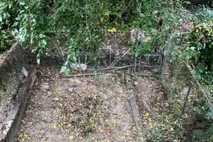 3218 N 15th St, Philadelphia, PA 19140 - Photo 16