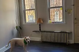 914 Ellsworth St, Philadelphia, PA 19147 - Photo 8