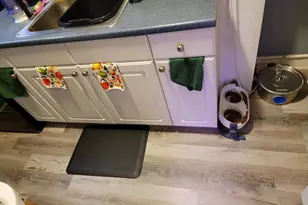 126 Rosemar St, Philadelphia, PA 19120 - Photo 6