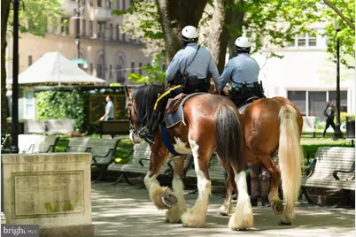 250 S 17th Street #1100, Philadelphia, PA 19103 - Photo 58