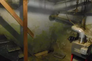 529 E Queen Ln, Philadelphia, PA 19144 - Photo 6