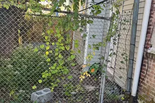 529 E Queen Ln, Philadelphia, PA 19144 - Photo 12