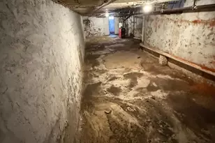 131 W Hansberry St, Philadelphia, PA 19144 - Photo 36