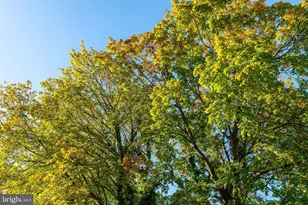 109 Carpenter Ln, Philadelphia, PA 19119 - Photo 46