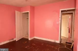 5338 Newhall St, Philadelphia, PA 19144 - Photo 10