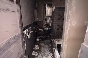 1314 Wagner Ave, Philadelphia, PA 19141 - Photo 8