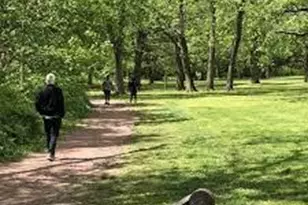 [Address not provided], Philadelphia, PA 19120 - Photo 30