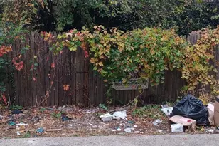 1064 Wagner Ave, Philadelphia, PA 19141 - Photo 10